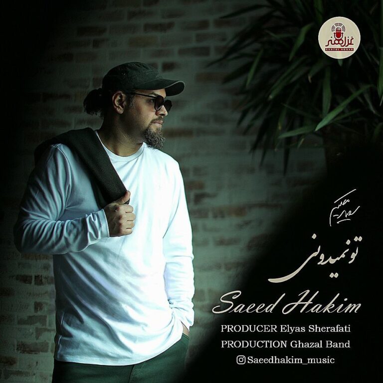 دانلود آهنگ سعید حکیم تو نمیدونی